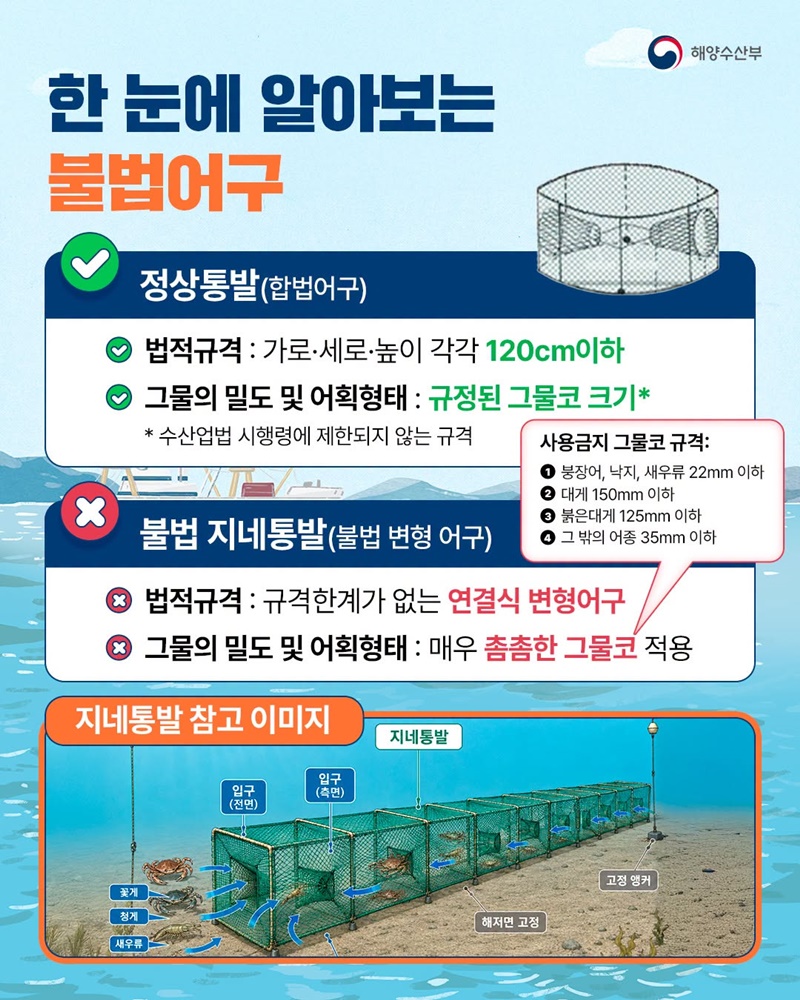 해양생태계를 위협하는 불법어구 지네통발 특별 단속