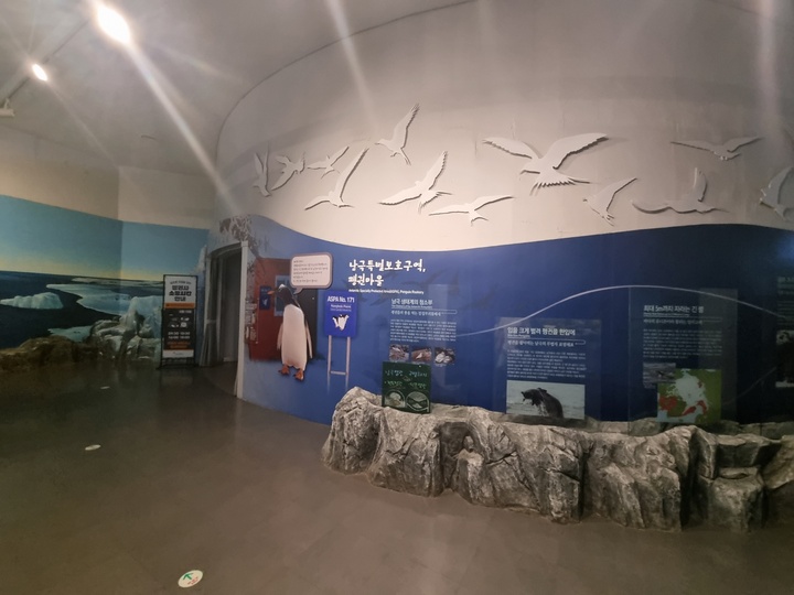 극지관 동물들 (본인촬영)