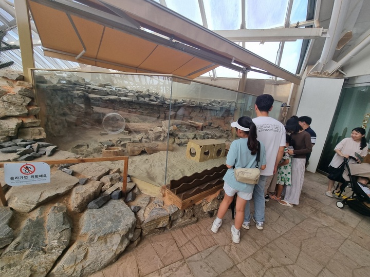 사막관 동물관찰 (본인촬영)