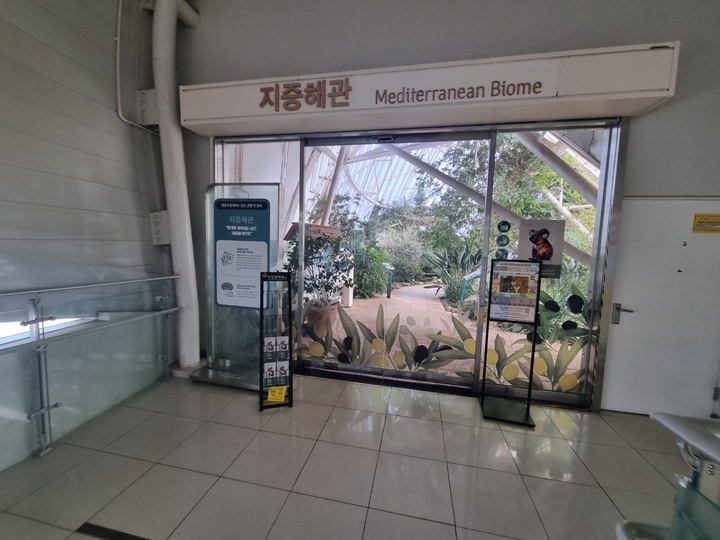 지중해관 입구 (본인촬영)