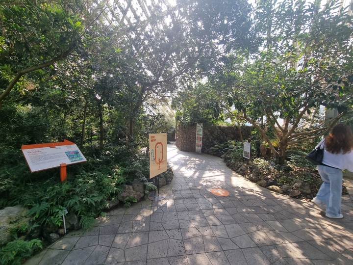 온대관 식물들 (본인촬영)