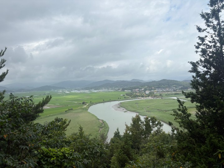 순천만 전망대에서 바라본 S자형 수로와 광활한 연안 갯벌의 경관. (본인 촬영)