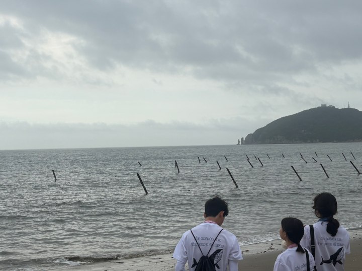 백령도 '하늬 해변'에서 점박이물범을 기다렸다. (본인촬영)