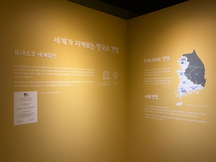 국립해양생물자원관에서 대한민국 갯벌 위상과 생태적 가치를 알 수 있었다. (본인 촬영)