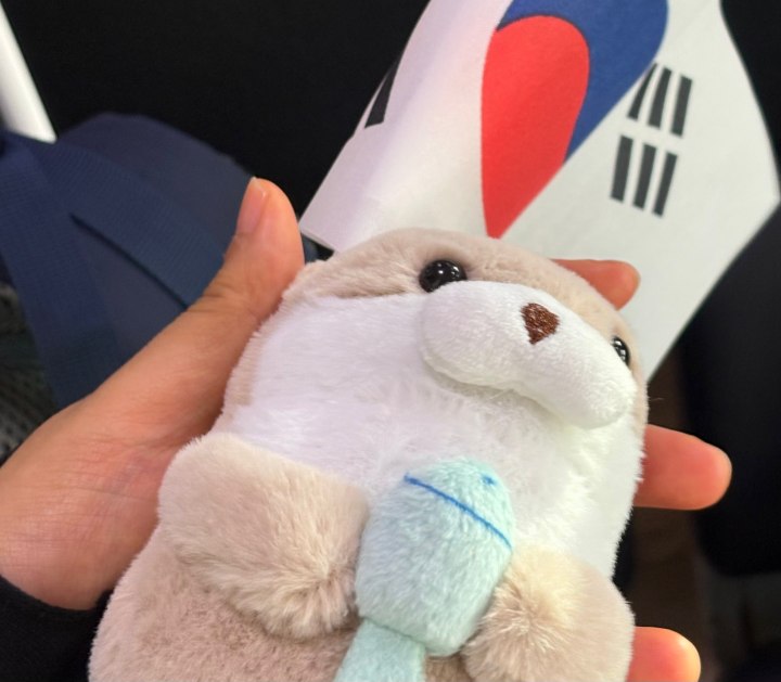 울릉도(사동항)에서 구매한 강치 인형과 태극기를 품에 안고 독도행 배에 올랐다. (본인촬영)