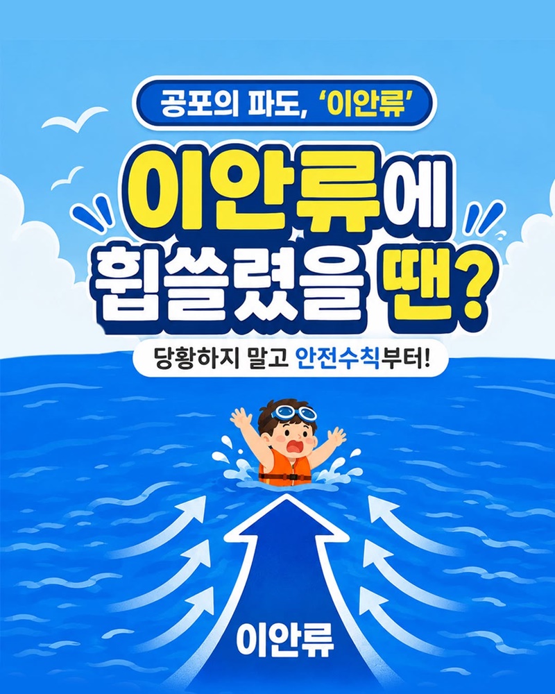 이안류에 휩쓸렸을 땐? 당황하지 말고 안전수칙부터!
