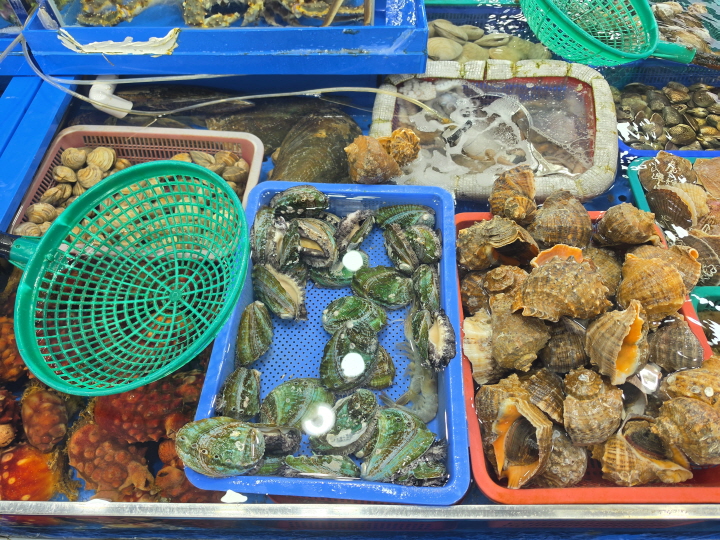 소라와 전복, 멍게 등 수산물이 가득하다.(직접 촬영)
