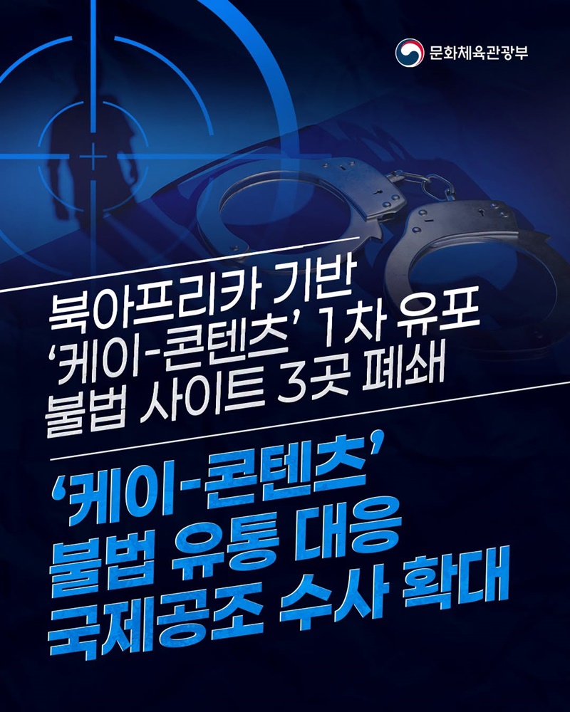 북아프리카 기반 케이-콘텐츠 1차 유포 불법 사이트 3곳 폐쇄