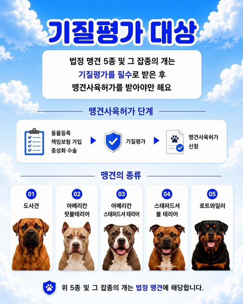 반려견 기질평가 알아보기