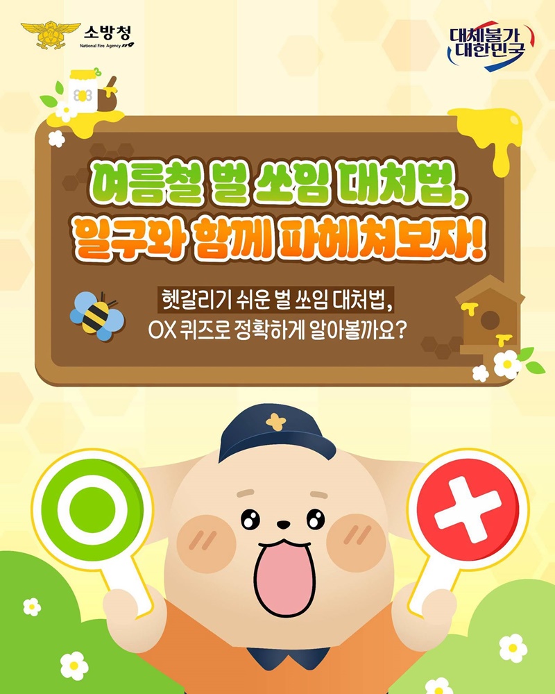 여름철 벌 쏘임 대처법