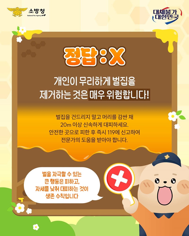 여름철 벌 쏘임 대처법