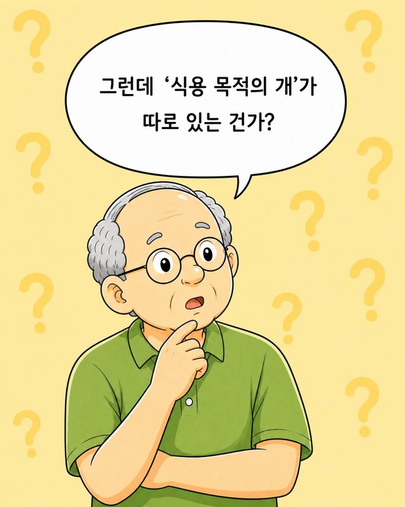 2027년 2월 7일 개식용종식법 전면 시행