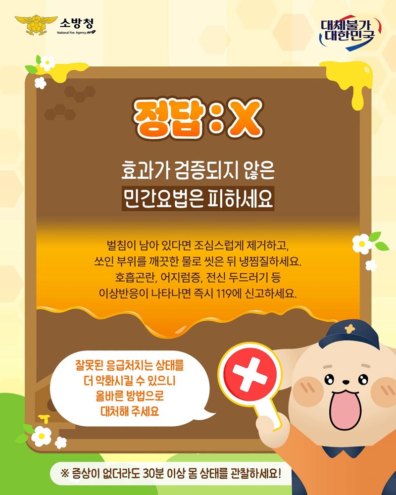 여름철 벌 쏘임 대처법