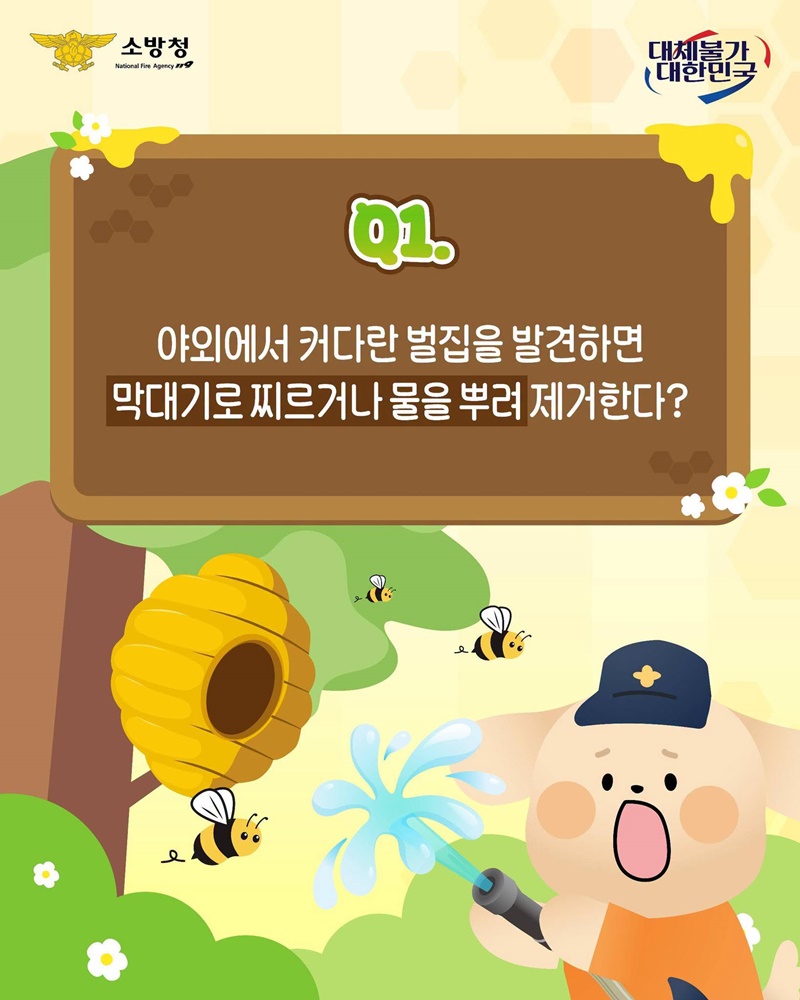 여름철 벌 쏘임 대처법