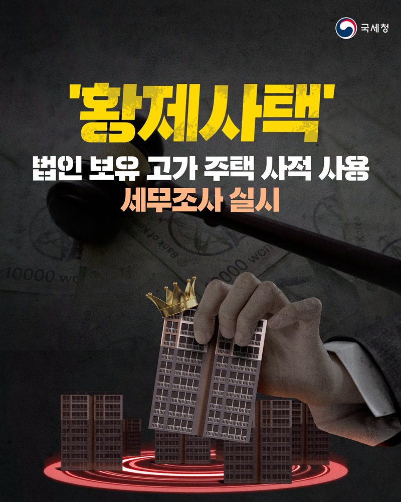 황제사택 법인 보유 고가 주택 사적 사용 세무조사 실시