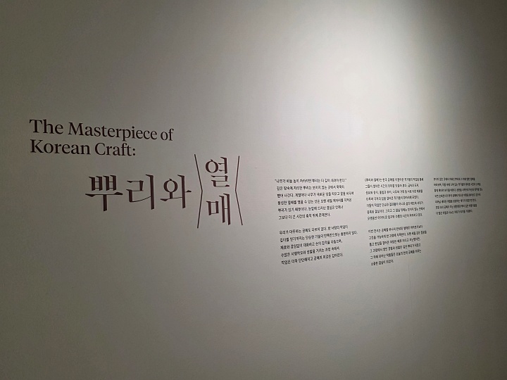 뿌리와 열매(본인촬영)