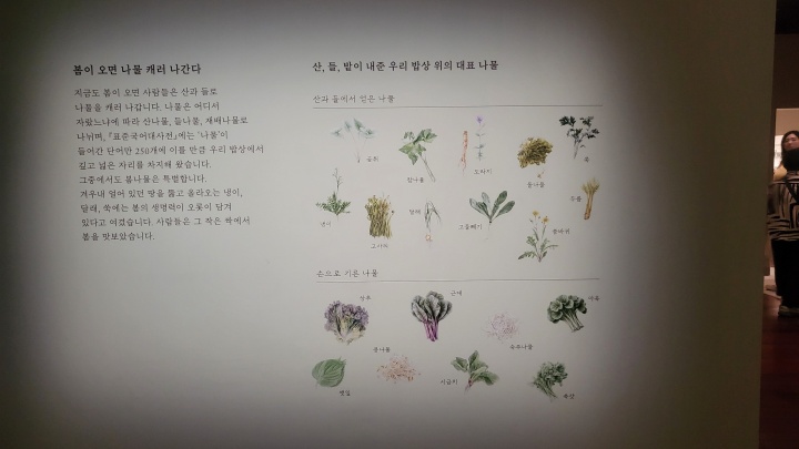 우리 밥상의 대표 나물들. (본인촬영)