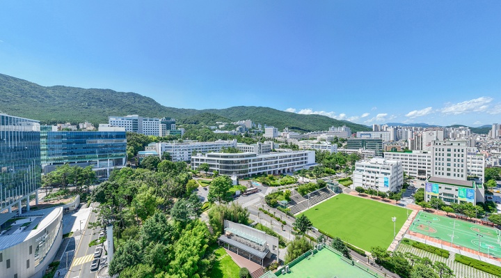 부산대학교 전경. (ⓒ뉴스1, 무단 전재-재배포 금지)