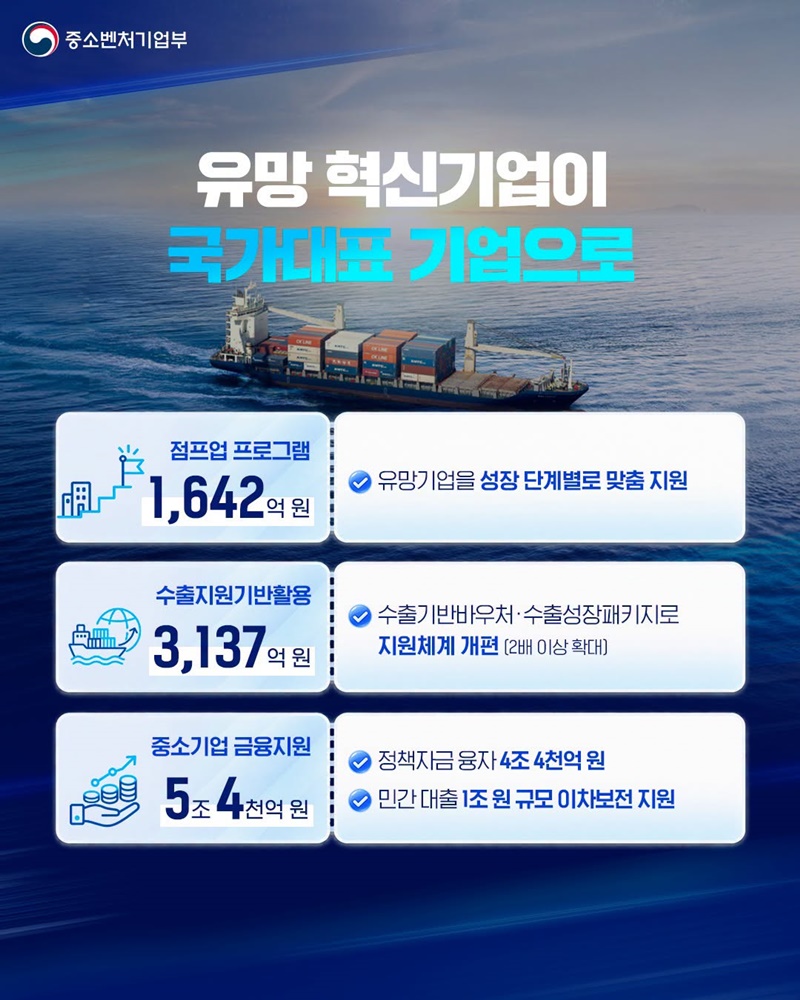 국가가 함께하는 중소벤처 성장사다리