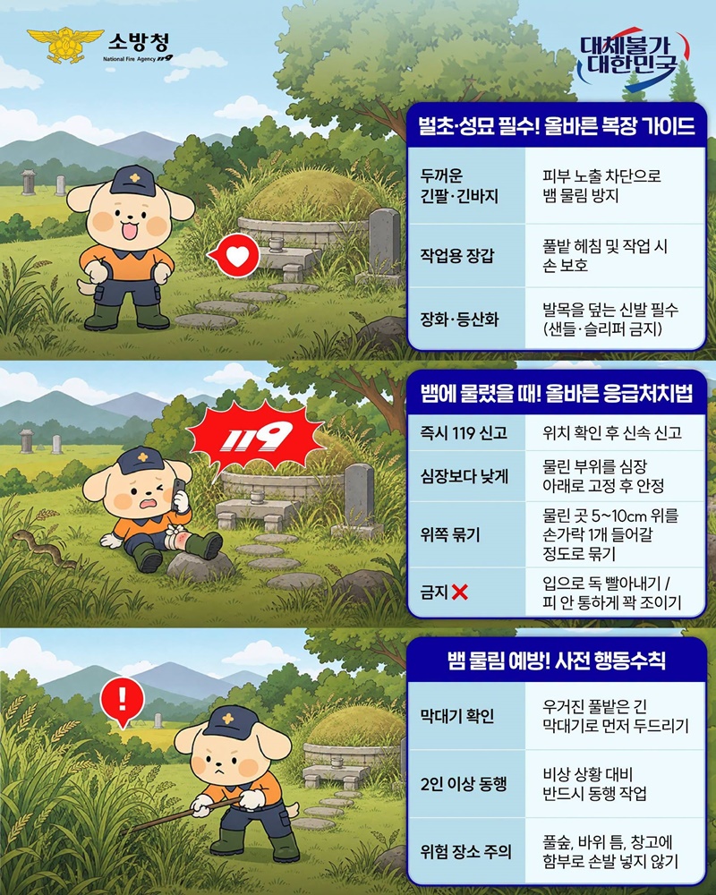 추석 연휴 뱀 물림 사고 조심