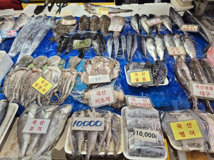 전통시장 수산물 판매대 수산물 진열 모습 (본인 촬영)