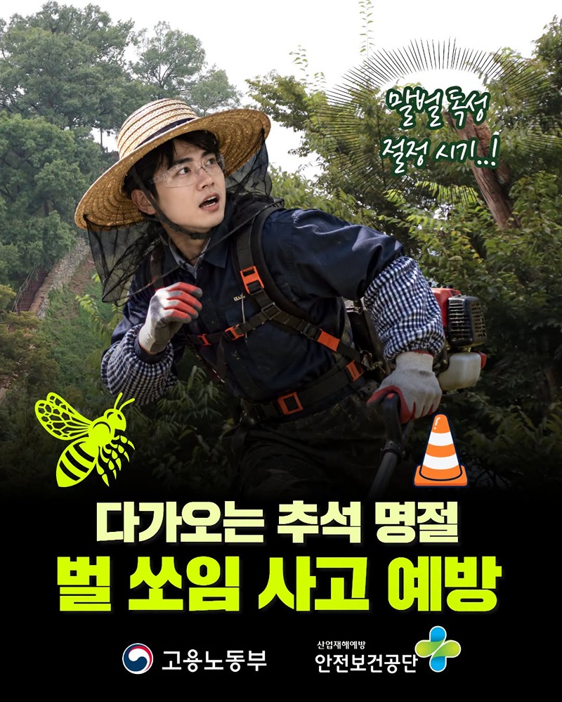 다가오는 추석 명절, 벌 쏘임 사고 예방