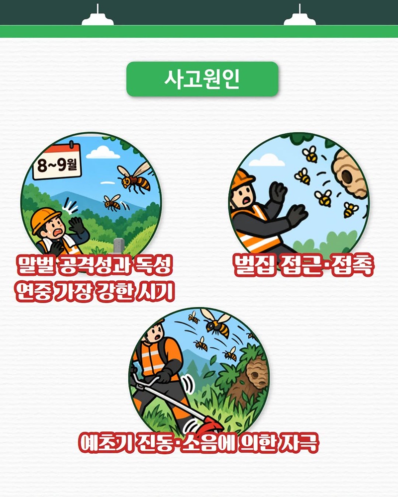 다가오는 추석 명절, 벌 쏘임 사고 예방