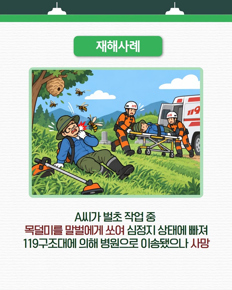 다가오는 추석 명절, 벌 쏘임 사고 예방