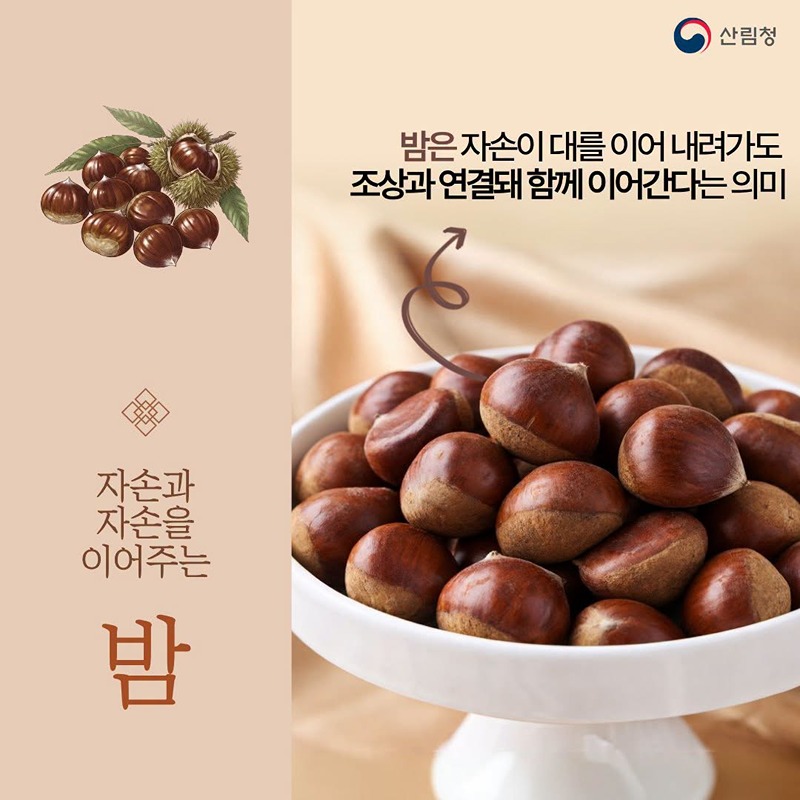 추석 차례상 위 임산물의 의미 알고 계셨나요?