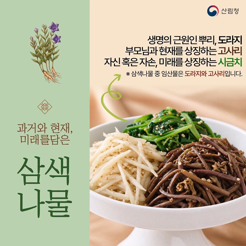 추석 차례상 위 임산물의 의미 알고 계셨나요?