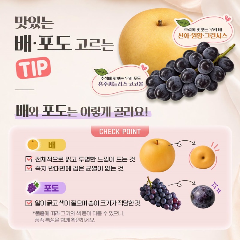 추석 과일·고기 이렇게 고르세요!