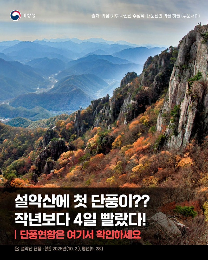 설악산에 첫 단풍이??작년보다 4일 빨랐다!
