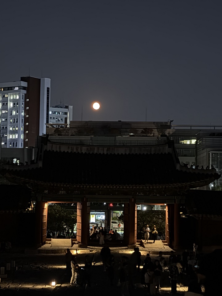 창경궁 무료개방