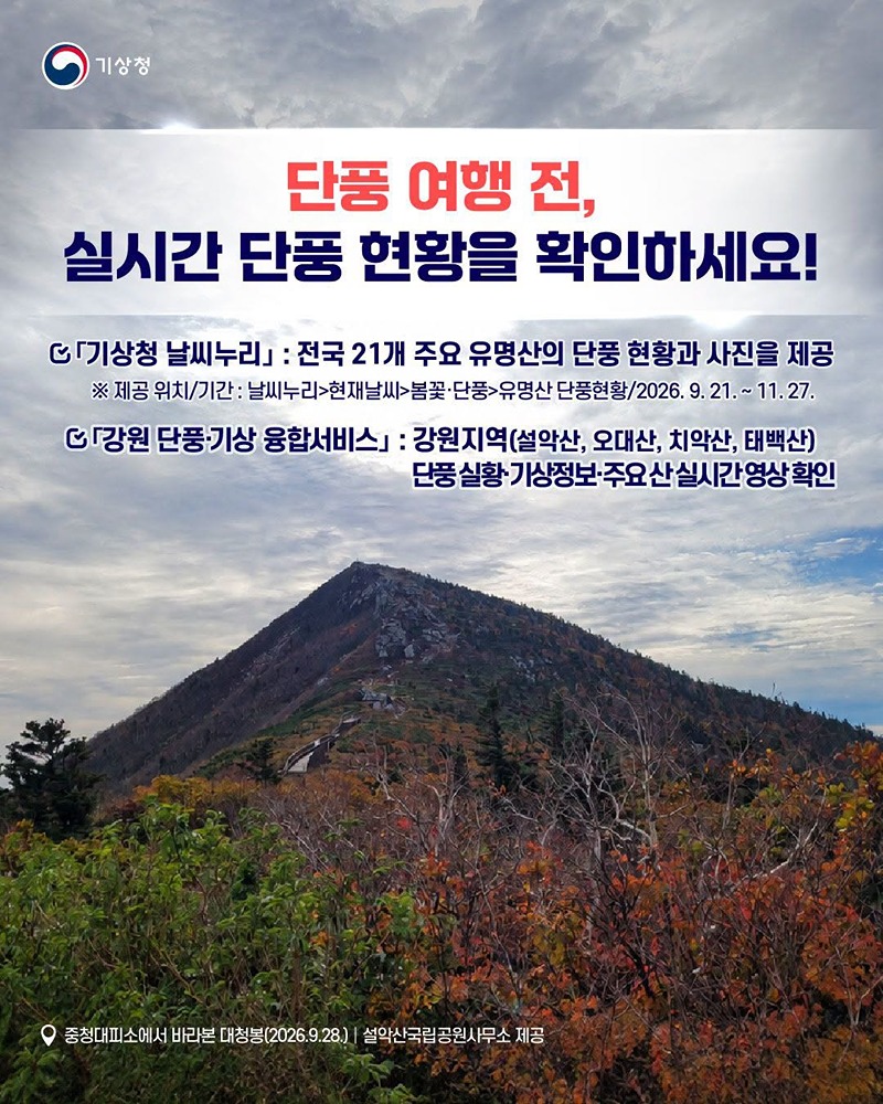 설악산에 첫 단풍이??작년보다 4일 빨랐다!