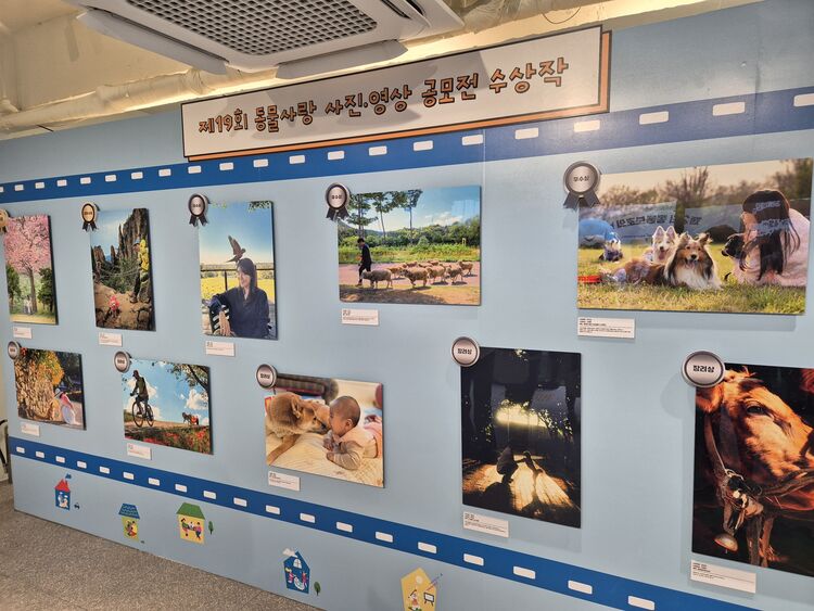 동물사랑 사진영상공모전 수상작 전시(본인 촬영)