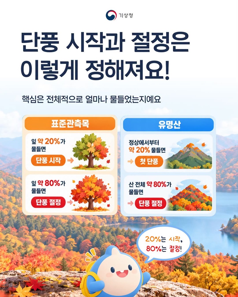 단풍 절정 시기는 어떻게 정하는 걸까?
