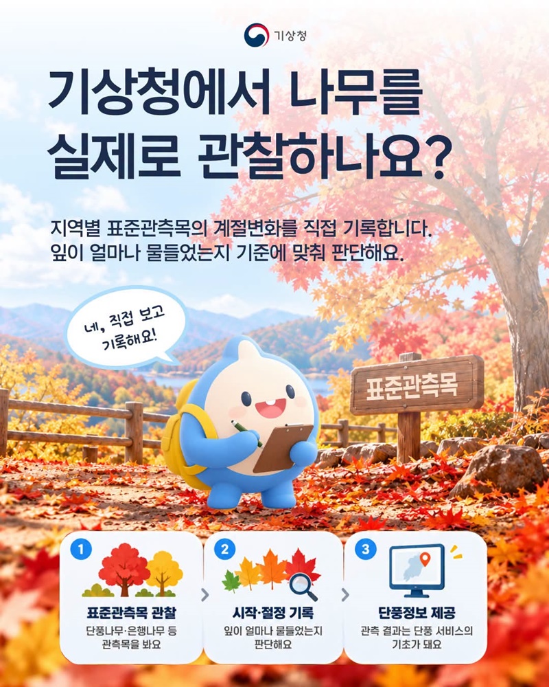 단풍 절정 시기는 어떻게 정하는 걸까?