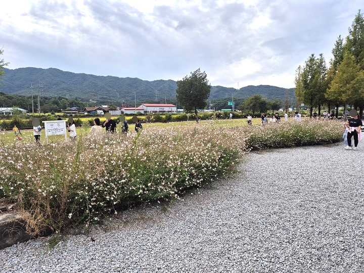 역사 앞에 서서 주변을 바라보니 멀리 산 능선까지 한눈에 들어온다(직접 촬영).