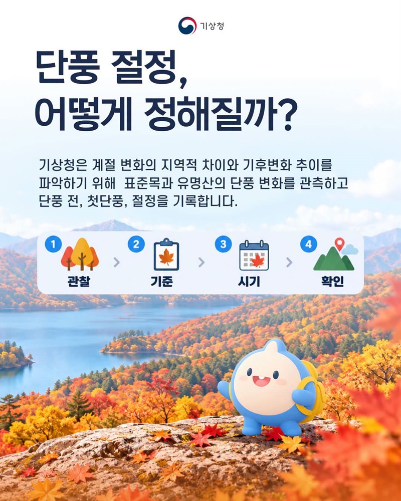 단풍 절정 시기는 어떻게 정하는 걸까?