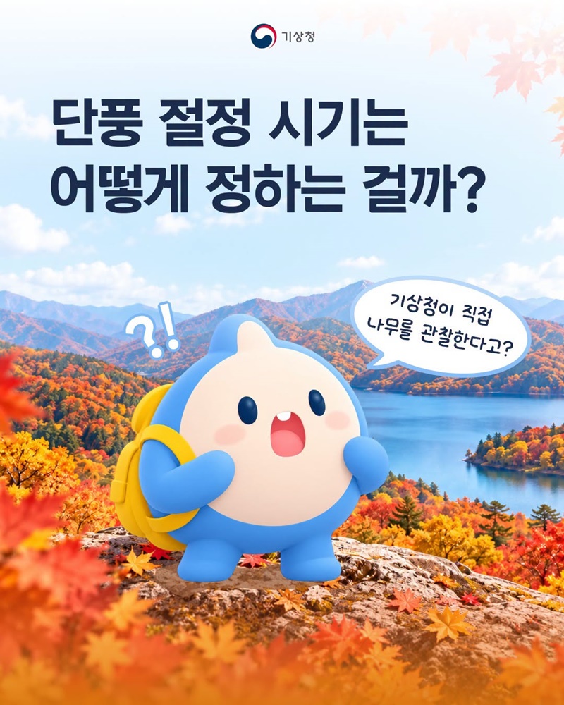 단풍 절정 시기는 어떻게 정하는 걸까?