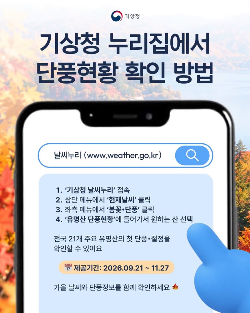 단풍 절정 시기는 어떻게 정하는 걸까?