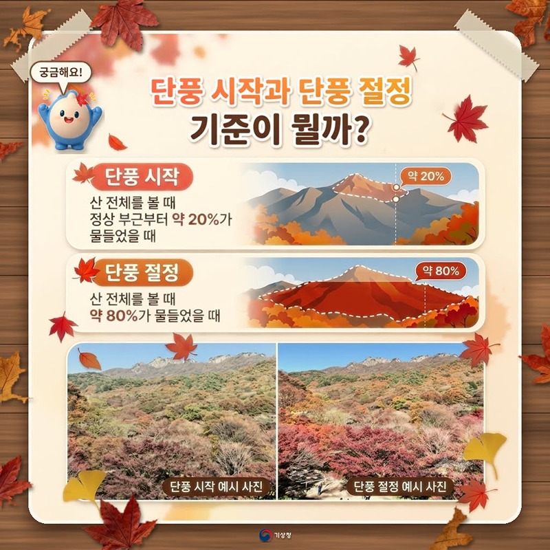 계절의 변화 우리가 알려드립니다! (가을편)