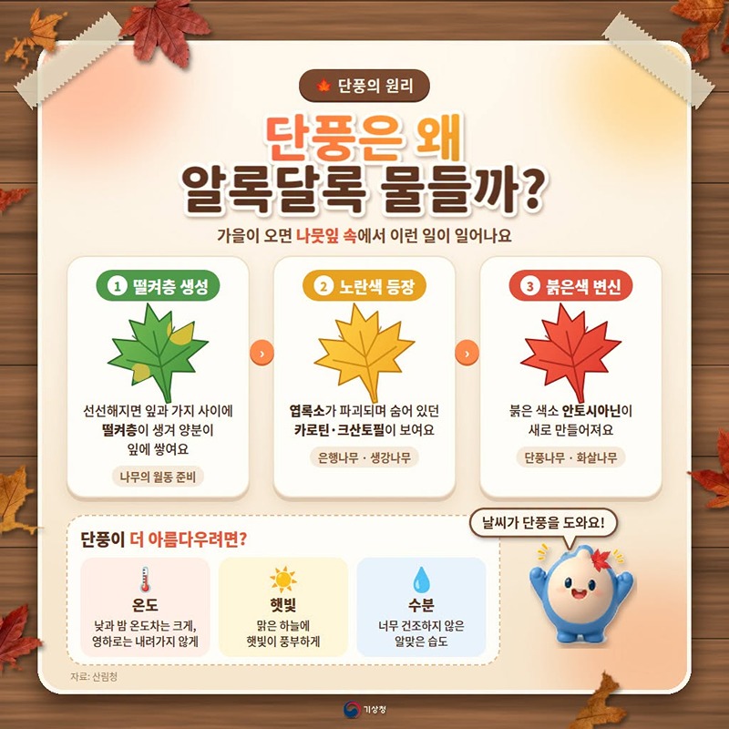 계절의 변화 우리가 알려드립니다! (가을편)