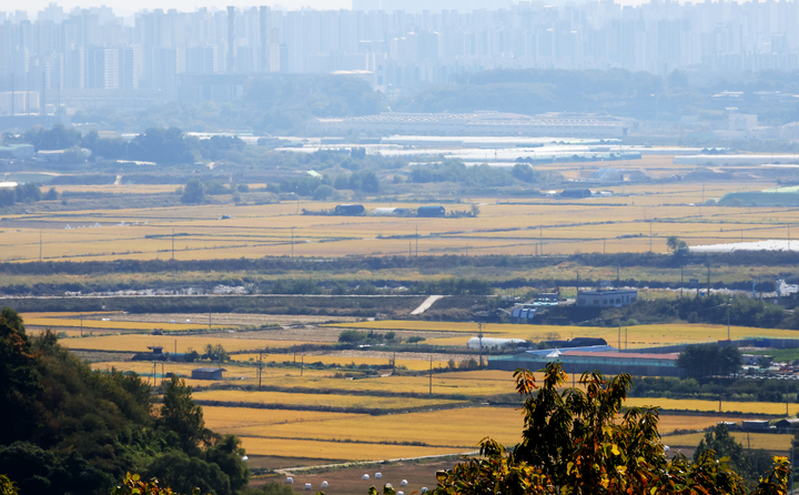 경기도 파주시 일대 농지. 2026.10.11 (사진=저작권자(c) 연합뉴스, 무단 전재-재배포 금지)