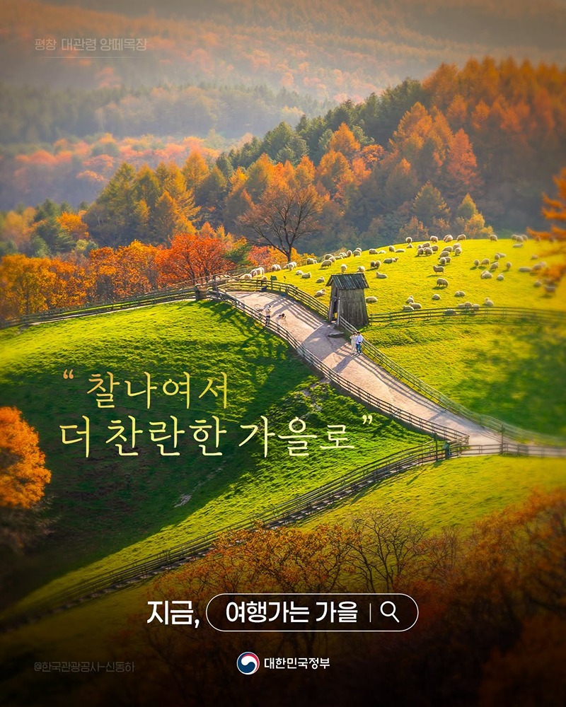 "찰나여서 더 찬란한 가을로" 하단내용 참조