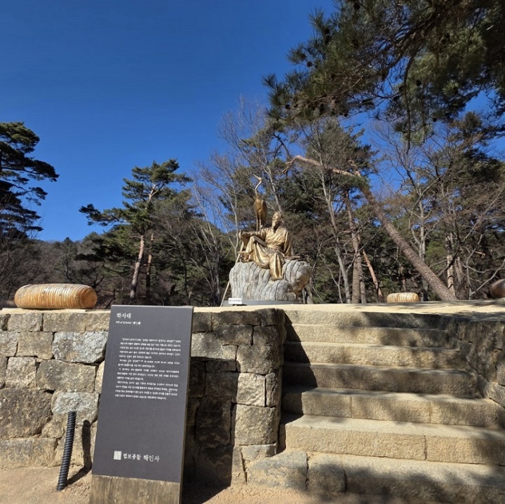 최치원 선생과 전나무 이야기. 본인 촬영