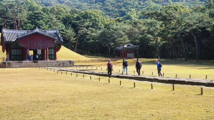 조선왕릉은 주변의 숲과 조화롭게 구성을 이루고 있는 것이 특징이다. (본인촬영)