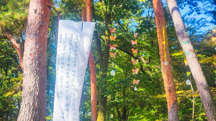 나무들 사이에 매달린 천 자락과 반투명한 색깔을 띤 유리구슬 장식들로 꾸며진 공간. (본인촬영)