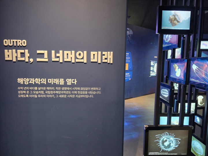 개관 기념 기획 전시의 대상은 해파리다.(본인 촬영)