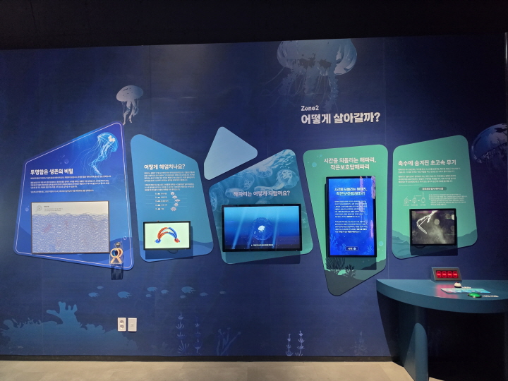 해파리는 어떻게 살아갈까?(본인 촬영)